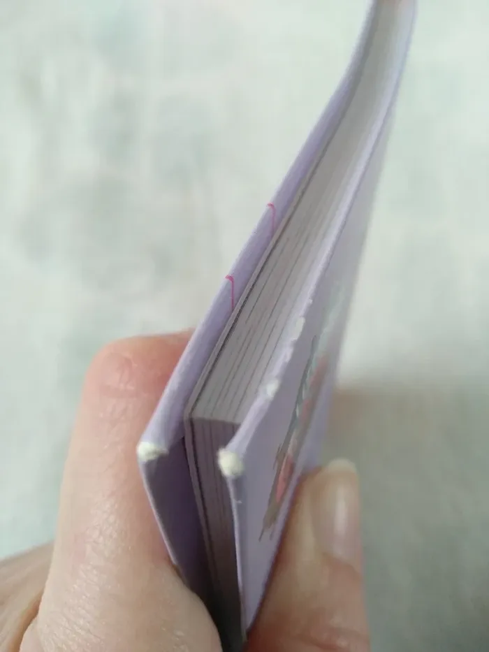 Livre Littlest PetShop - photo numéro 7