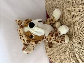 Lashuma Tissu Chien Bouledogue Français Déguisé avec Costume Léopard