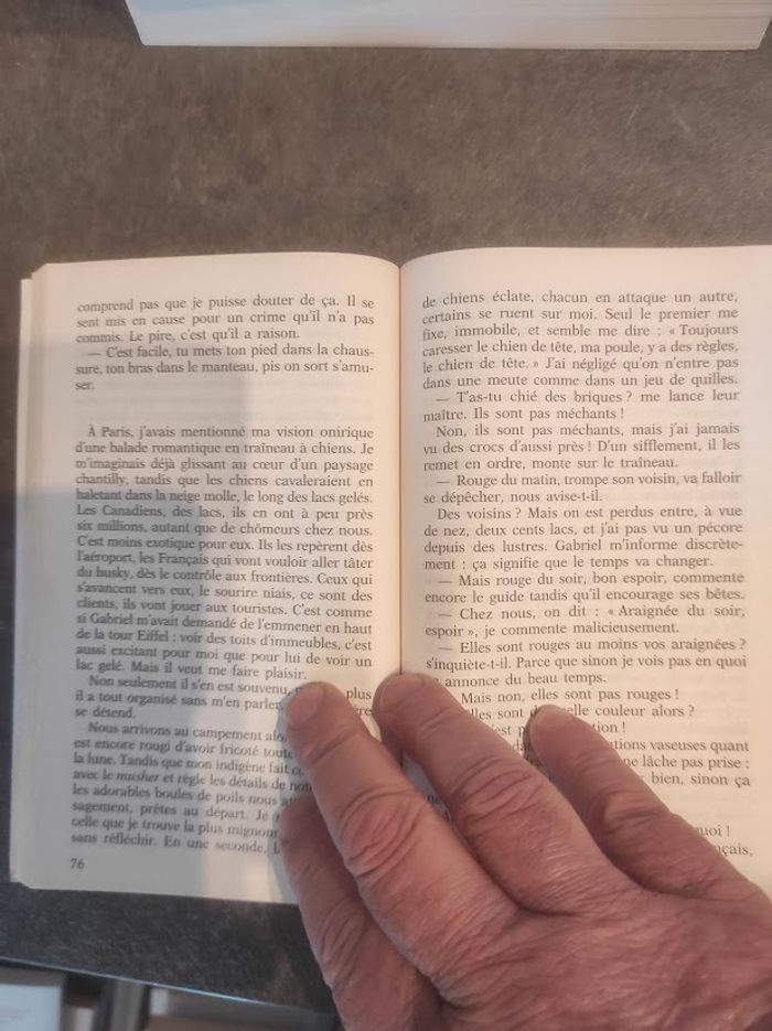 L'homme idéal existe. Il est Québecois - Diane Ducret - J'ai Lu 2017 - photo numéro 4