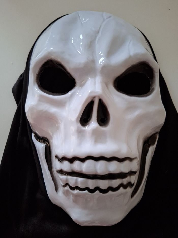 Masque tête de squelette à enfiler - photo numéro 2
