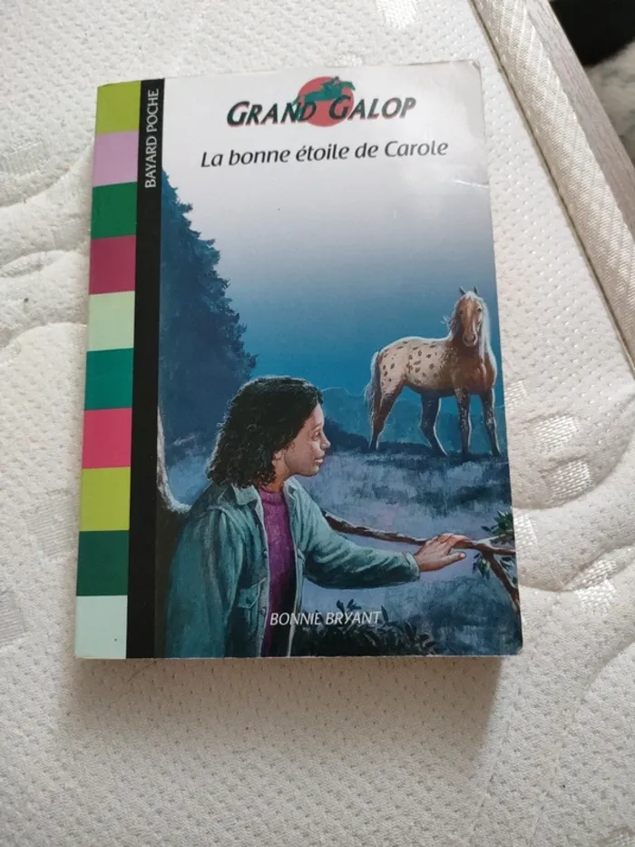 Livre la bonne étoile de Carole
