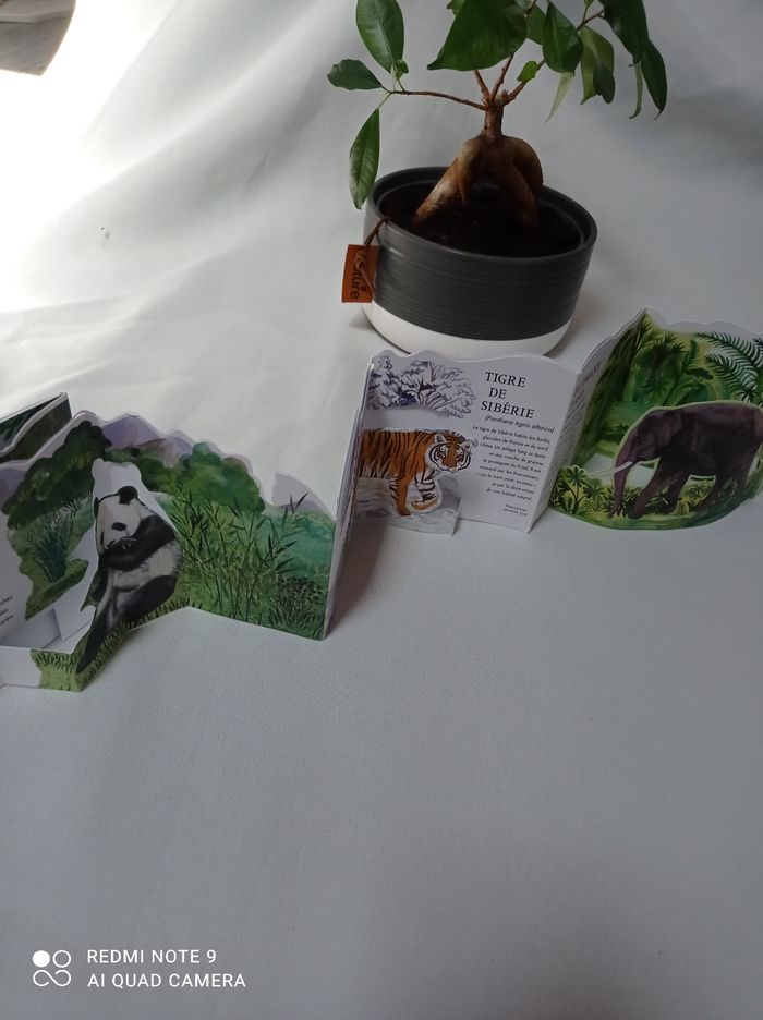 Livre panorama illustré animaux en danger - photo numéro 2