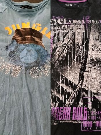 Lot de 2 tee shirt garçon 