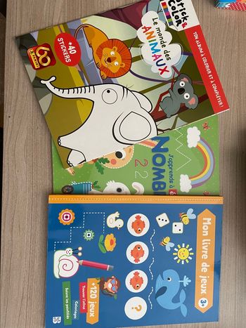Lot de 3 livres d’activités enfant