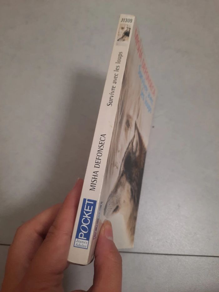 Pocket jeune adulte - photo numéro 2