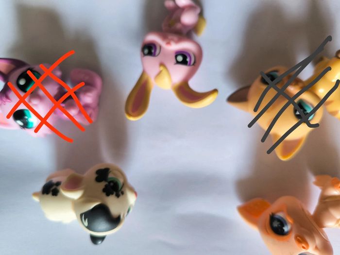 PetShop sans aimant - photo numéro 5