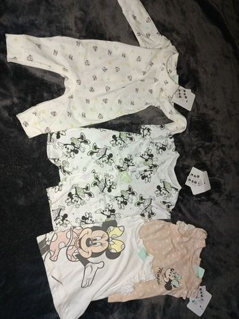 Lot minnie