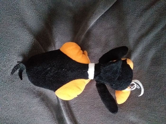 daffy duck - photo numéro 3