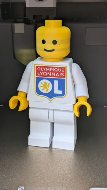 Figurine briques Olympique Lyonnais – Fan OL (20cm)