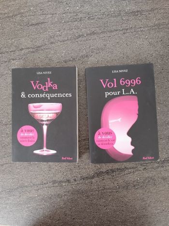 Vodka et conséquences/ Vol 6996 pour L.A