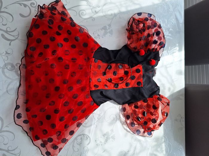Costume Ladybug - photo numéro 2
