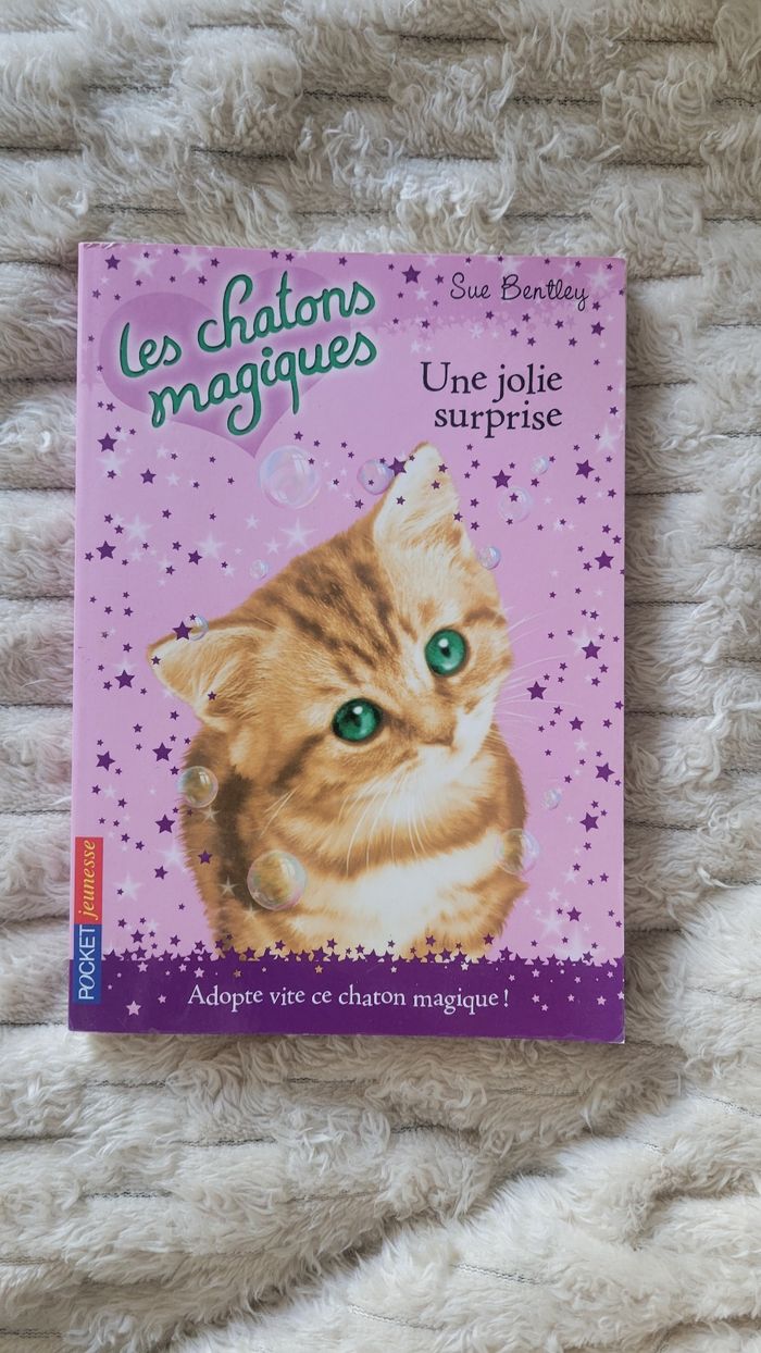 Livre Les Chatons Magiques