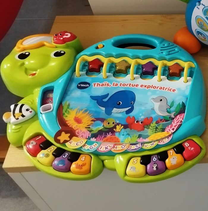 Thaïs la tortue exploratrice