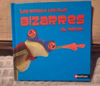 Les animaux les plus bizarres du monde!