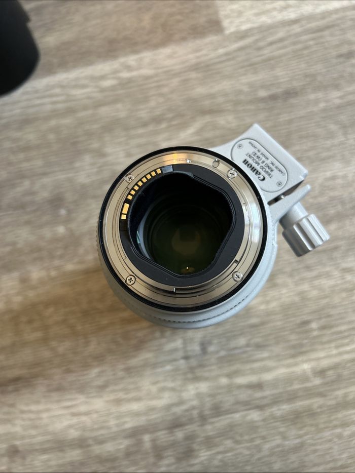 Objectif Canon EF 70-200 mm F2,8 L IS USM Mark III - photo numéro 4