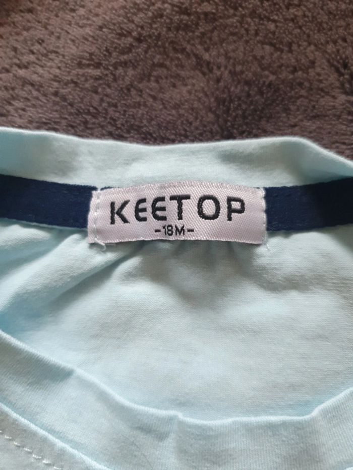 Lot 2 t shirts + 2 shorts 18 mois - photo numéro 3