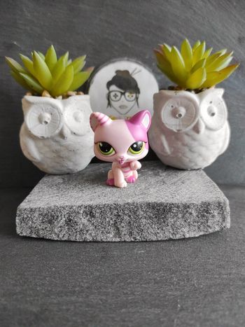 Littlest Petshop LPS Pet Shop chat Chartreux 1856 Blythe cat  #geektradelpschat