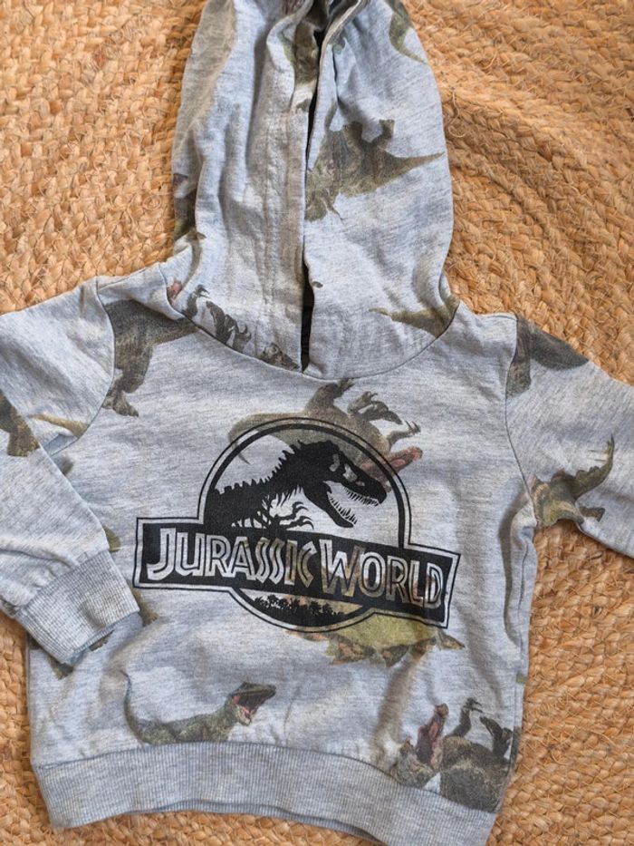 Sweat 2 ans - photo numéro 3