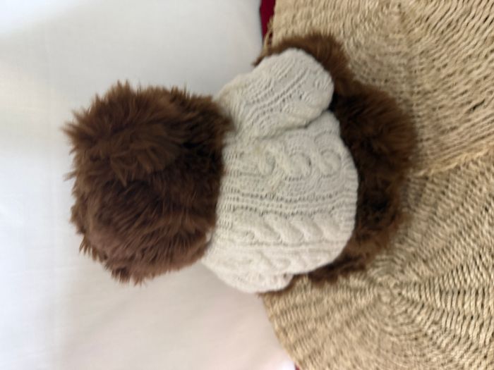 Peluche Ours Giorgio Beverly Hills 20 Anniversary - photo numéro 4