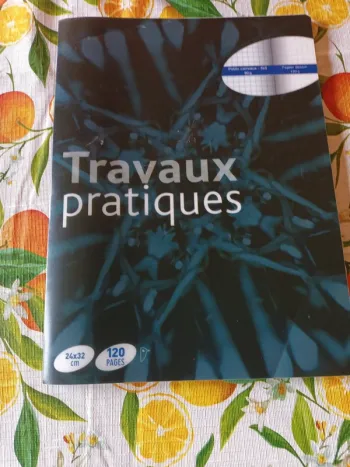 Maxi Cahier de travaux pratiques