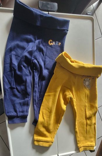 Lot 2 joggings 18 mois Lupilu