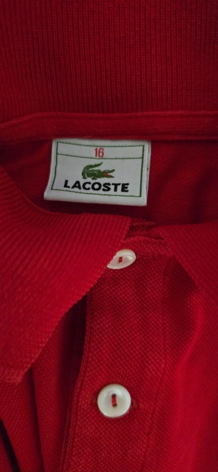 Polo Lacoste, 16 ans - photo numéro 4