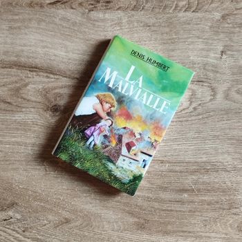 📚 Livre La Malvialle Denis Humbert #emyfleury_livres