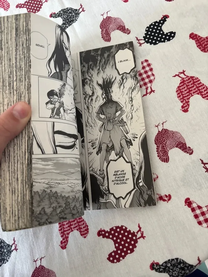 Mangas Dr Stone n°229 - photo numéro 4