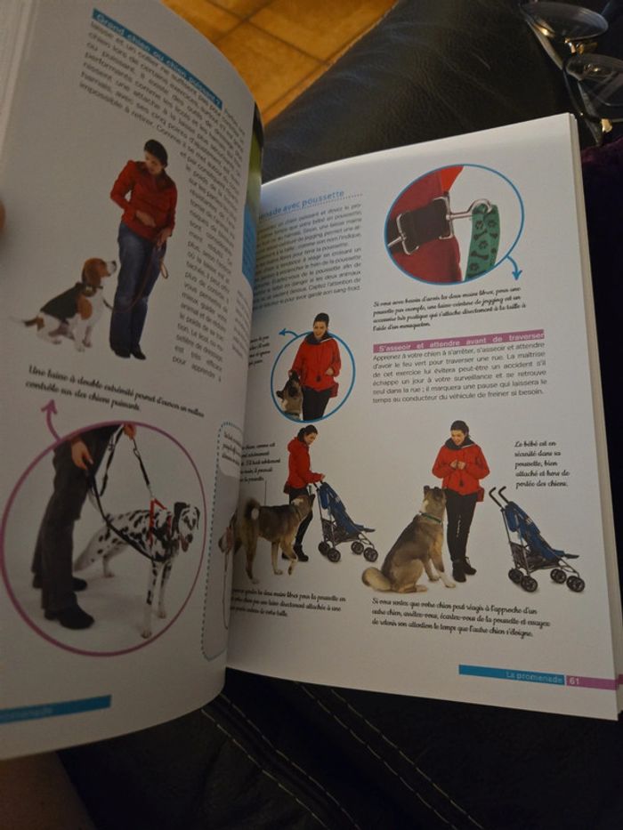 Éduquer facilement son chien - photo numéro 6