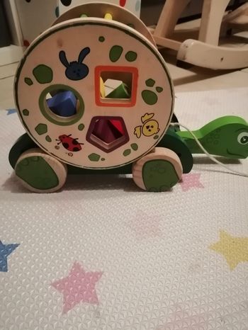 Tortue à tirer et  formes