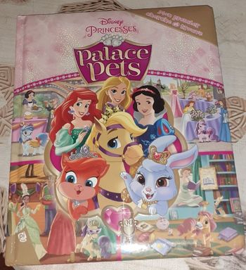 Livre Disney Princesses Palace Pets Cherche et Trouve