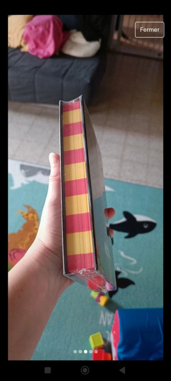 Harry Potter et l' école des sorciers livre gryffondor - photo numéro 3