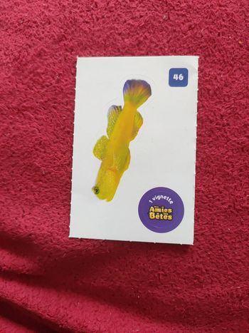 Autocollant nos amies les bêtes