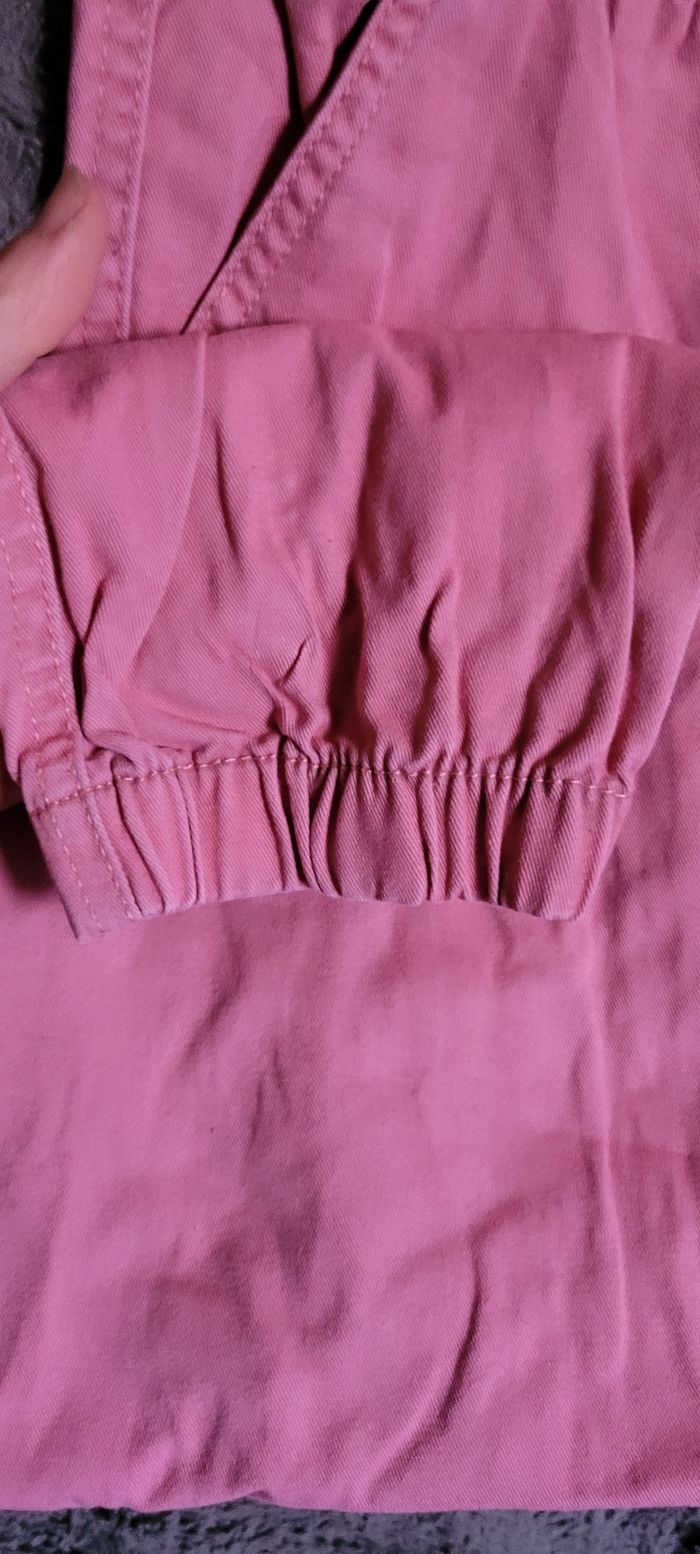 Cargot - photo numéro 3