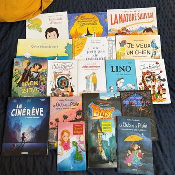 Lot de 20 livres enfants et ado