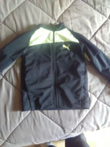 Veste puma