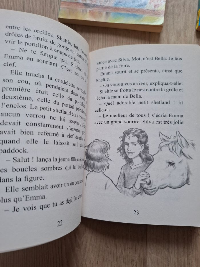 Lot de 4 livres Sheltie de Peter Clover en bon état - photo numéro 7