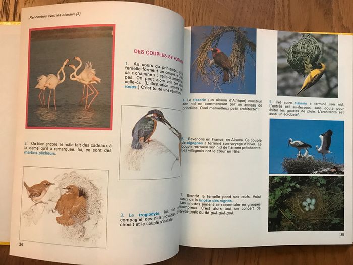 La malle aux livres - Lectures CE2 - photo numéro 2