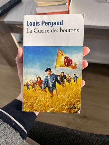 La guerre des boutons