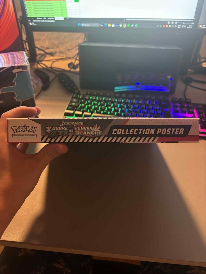 Foudre Noire & Flamme Blanche: Poster Collection - photo numéro 2