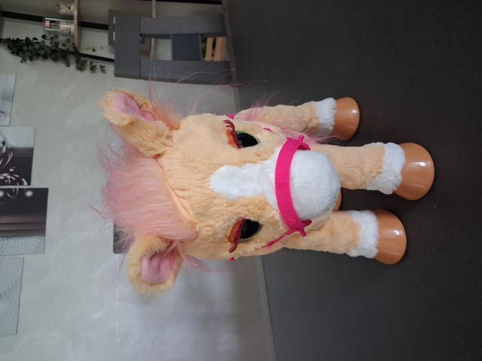 Cannelle mon poney coquet et ses accessoires - photo numéro 3