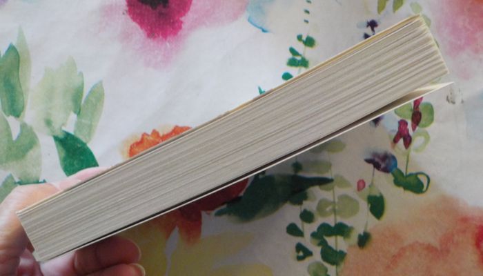 LES AMES TORSES de Françoise LE MER Ed. Palémon - photo numéro 4