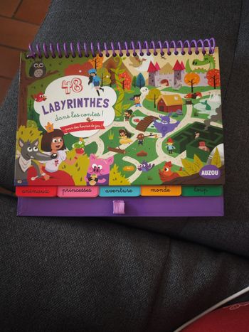 48 labyrinthes dans les contes à faire et à refaire !