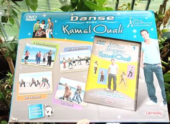Jeu "Danse Avec Kamel Ouali"