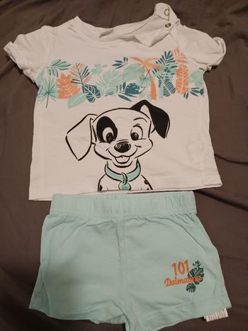 Ensemble short dalmatiens