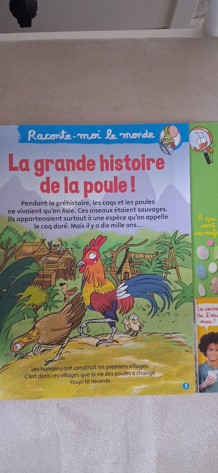 Youpi doc - photo numéro 4