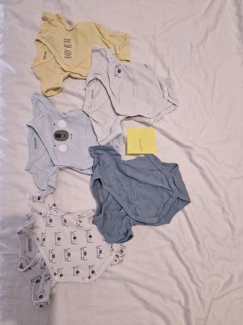 Lot 5 bodies manches courtes naissance 