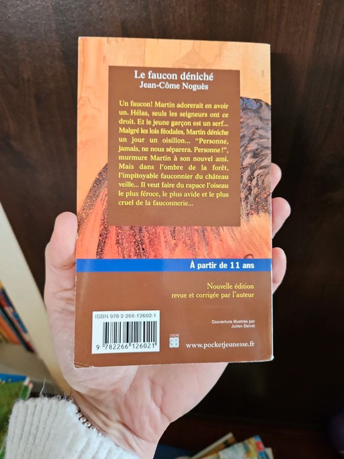 Le faucon déniché - photo numéro 2