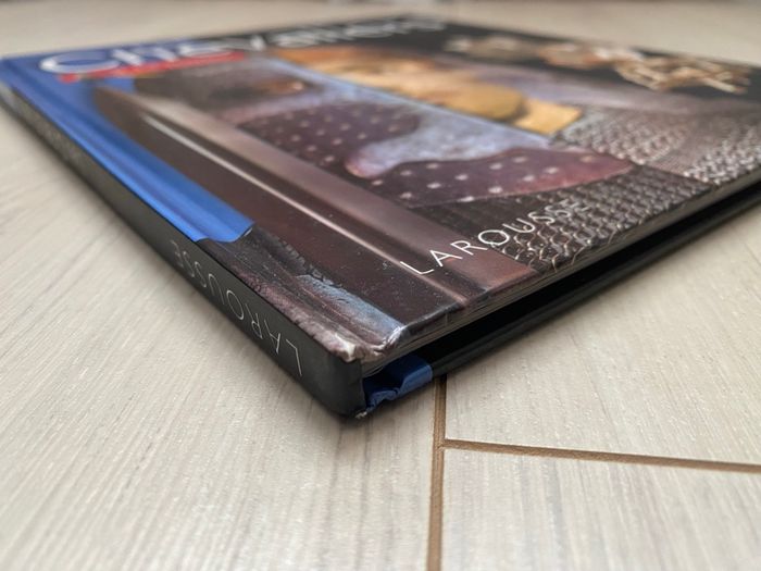 Livre Les chevaliers à la loupe - photo numéro 9