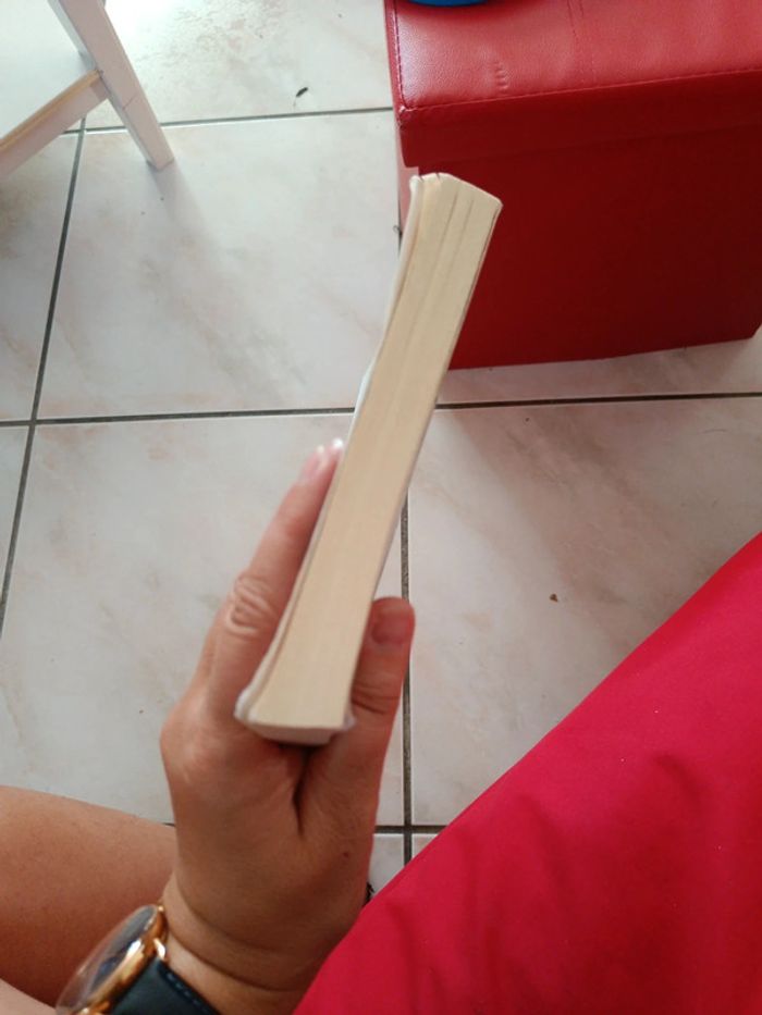 Livre d'Artagnan héros de legende - photo numéro 4